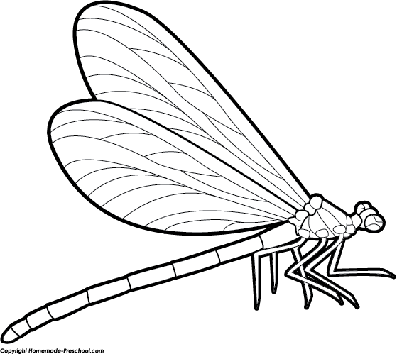 Free Dragonfly Image Png Clipart