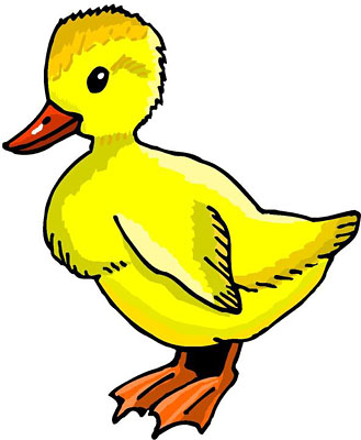 Cute Duck Dromgac Top Png Image Clipart