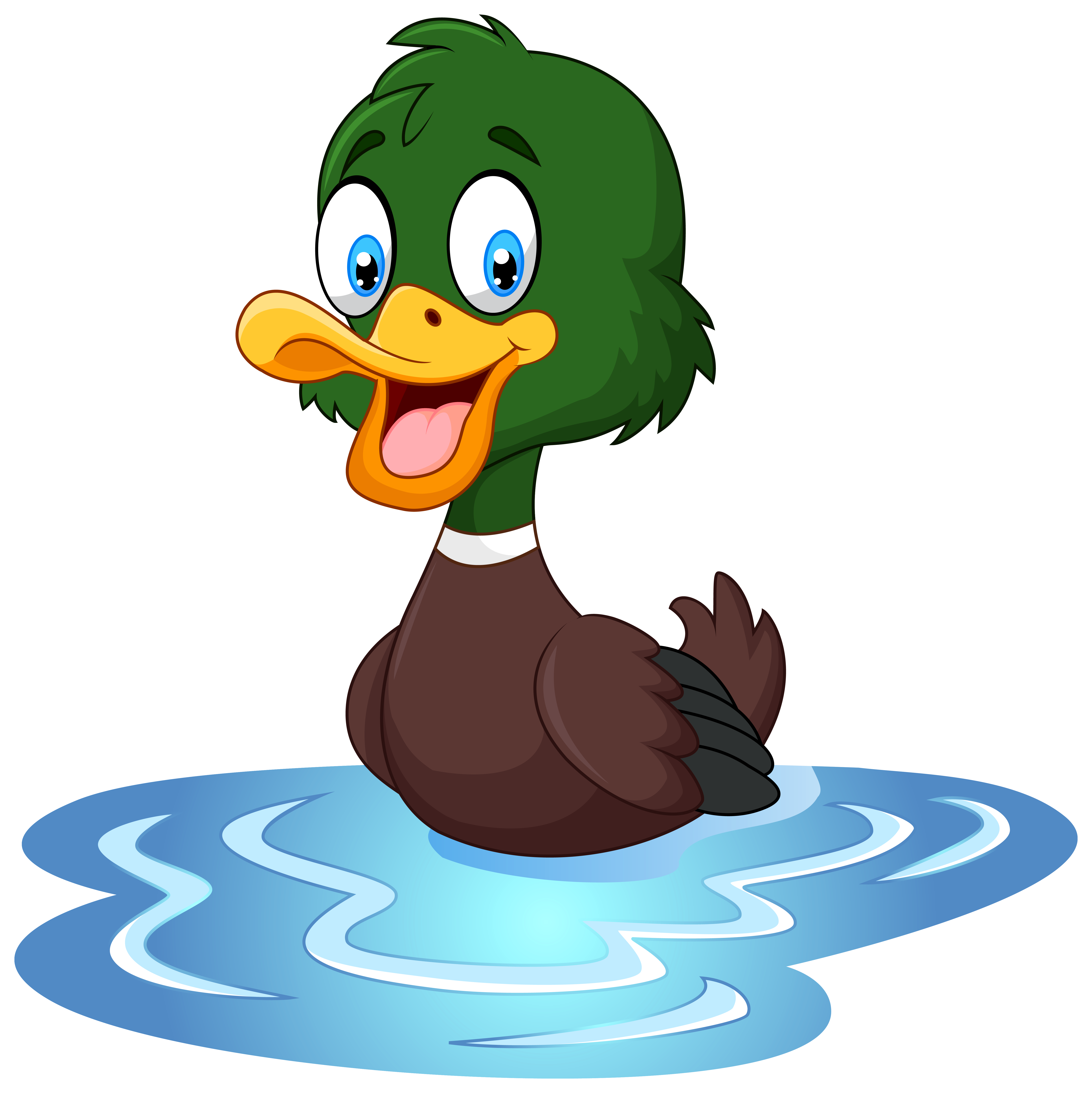 Duck Image Hd Image Clipart