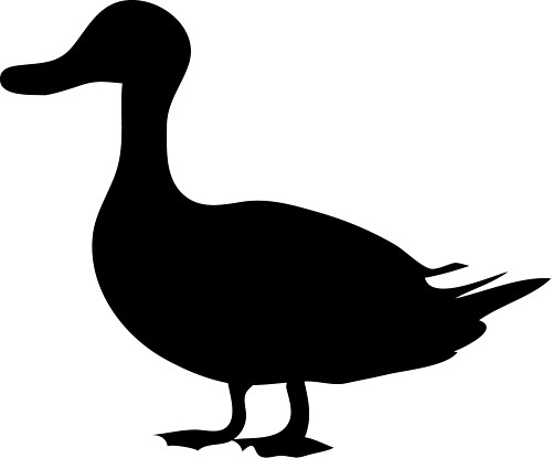 White Duck Dromgbj Top Png Images Clipart