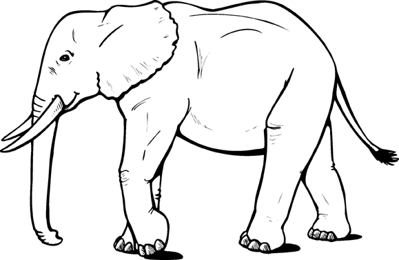 Elephant Png Image Clipart