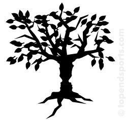 Family Tree Images Hd Image Clipart