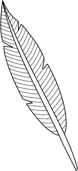 Feather Images Clipart Clipart