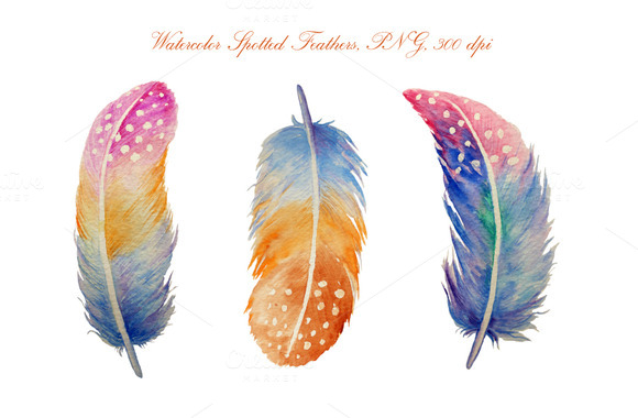 Watercolor Spotted Feathers Illustrations On Creative Market Clipart
