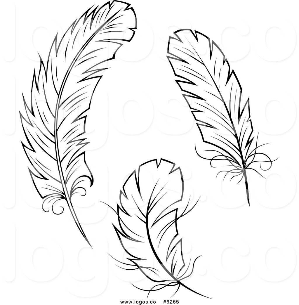 Feather To Download Hd Photos Clipart