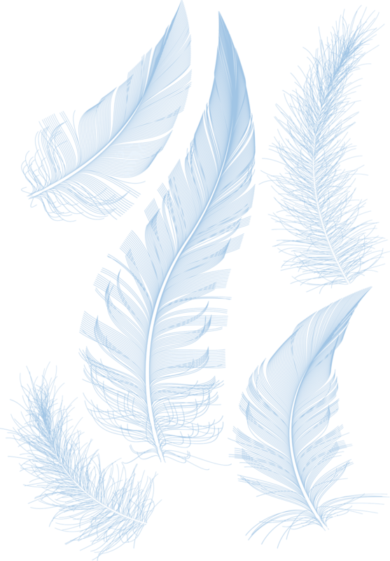 White Feathers Feather HQ Image Free PNG Clipart