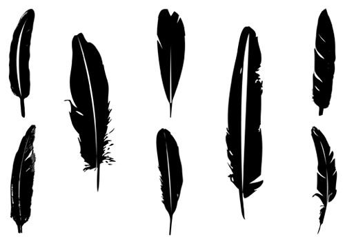 Feather Silhouette Hd Photo Clipart