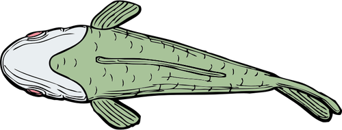 Ugly Fish Top View Clipart