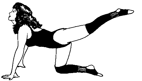Fitness Images Clipart Clipart