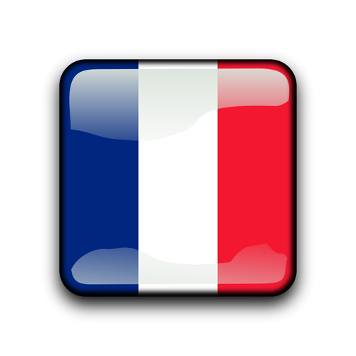 French Guiana Flag Button Clipart