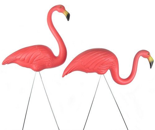 Lawn Flamingo Image Png Clipart