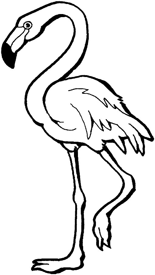Flamingo Images Hd Image Clipart