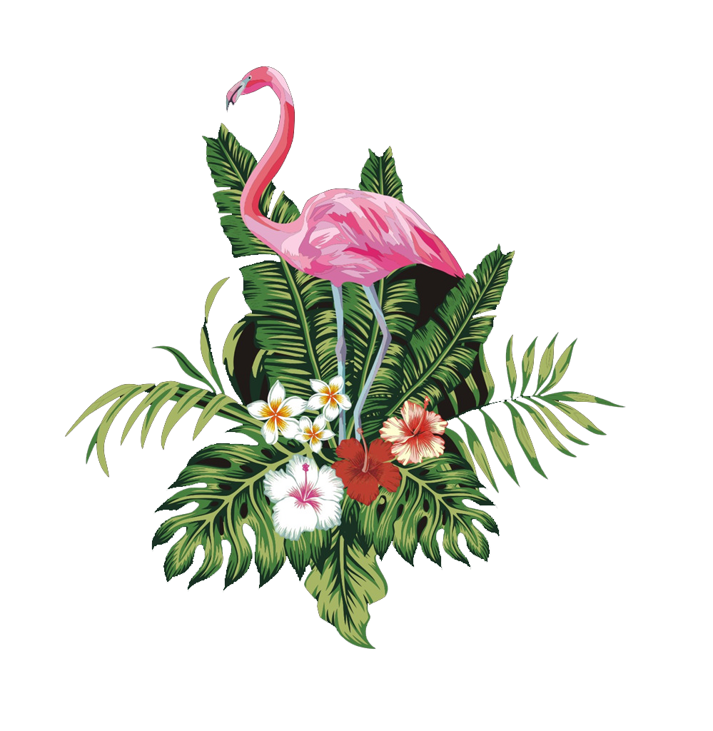 Pink Flamingo Bird Free Transparent Image HD Clipart