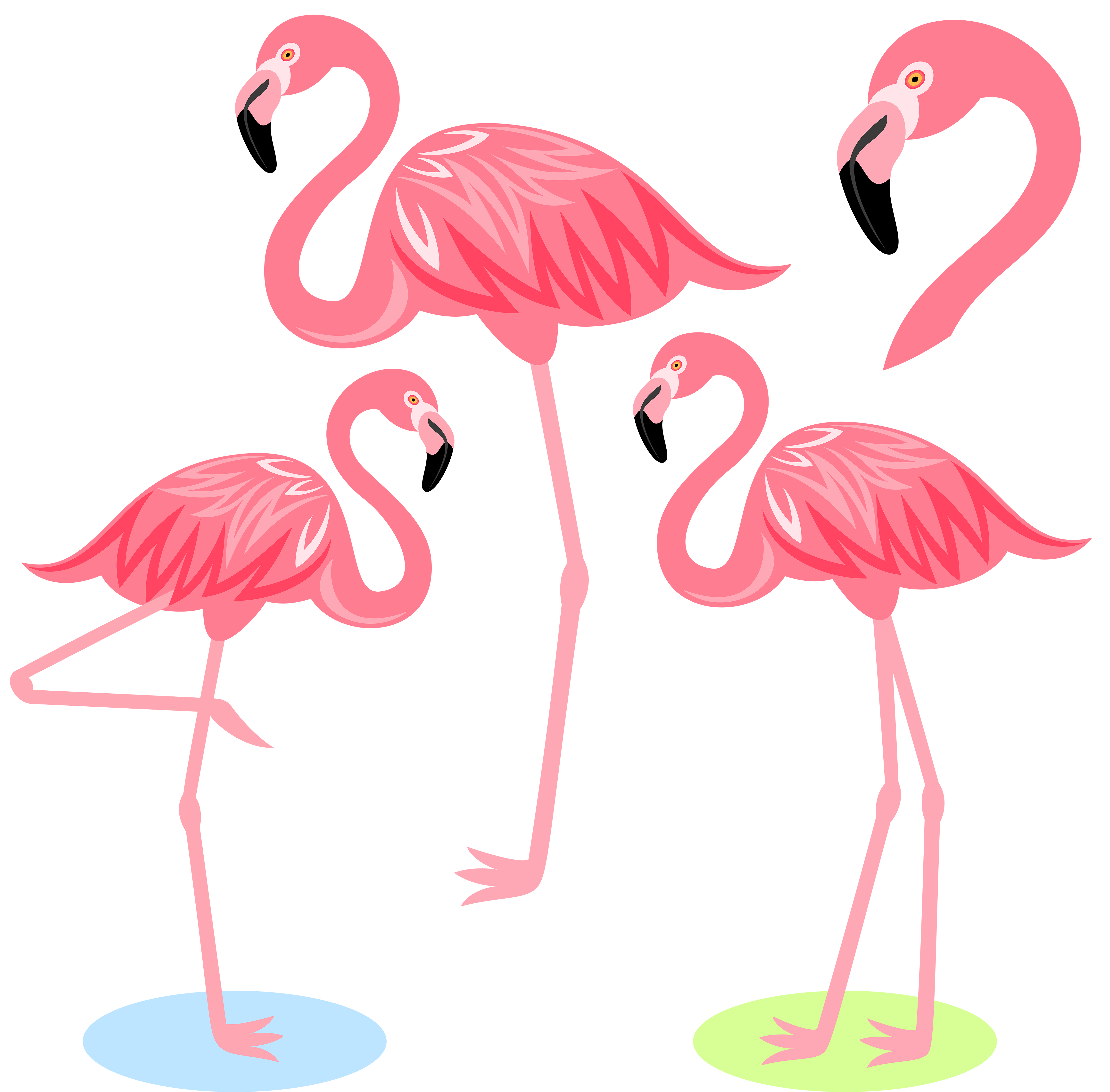 Flamingo Bird Illustration Cartoon Free Frame Clipart