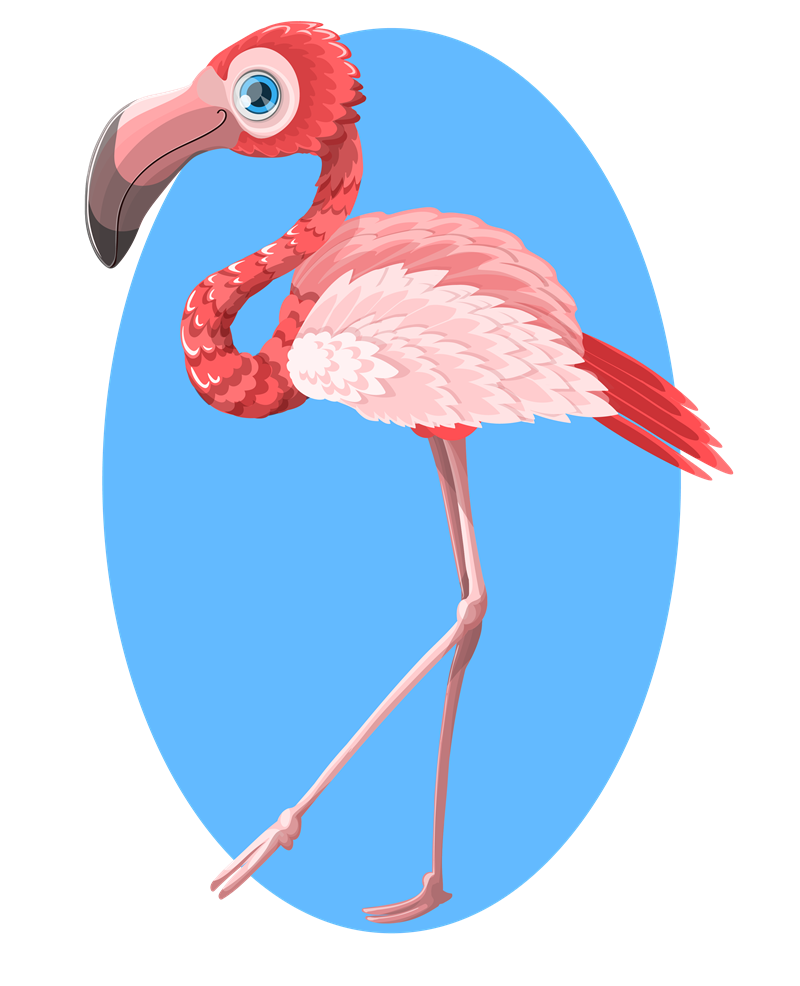 Flamingo To Use Clipart Clipart