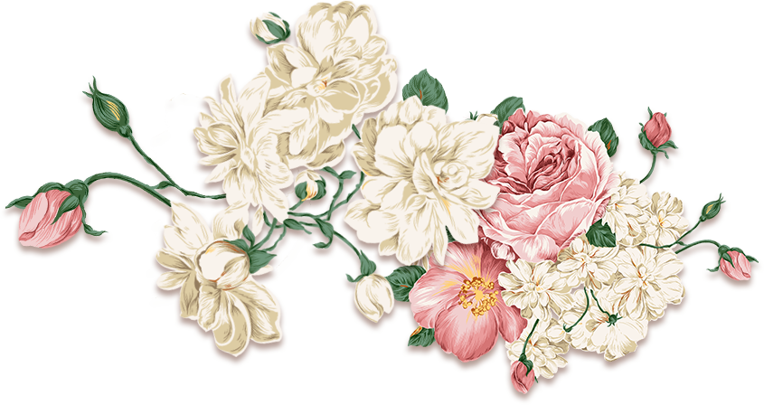 Wall Decal Flower Peony Free Download PNG HD Clipart
