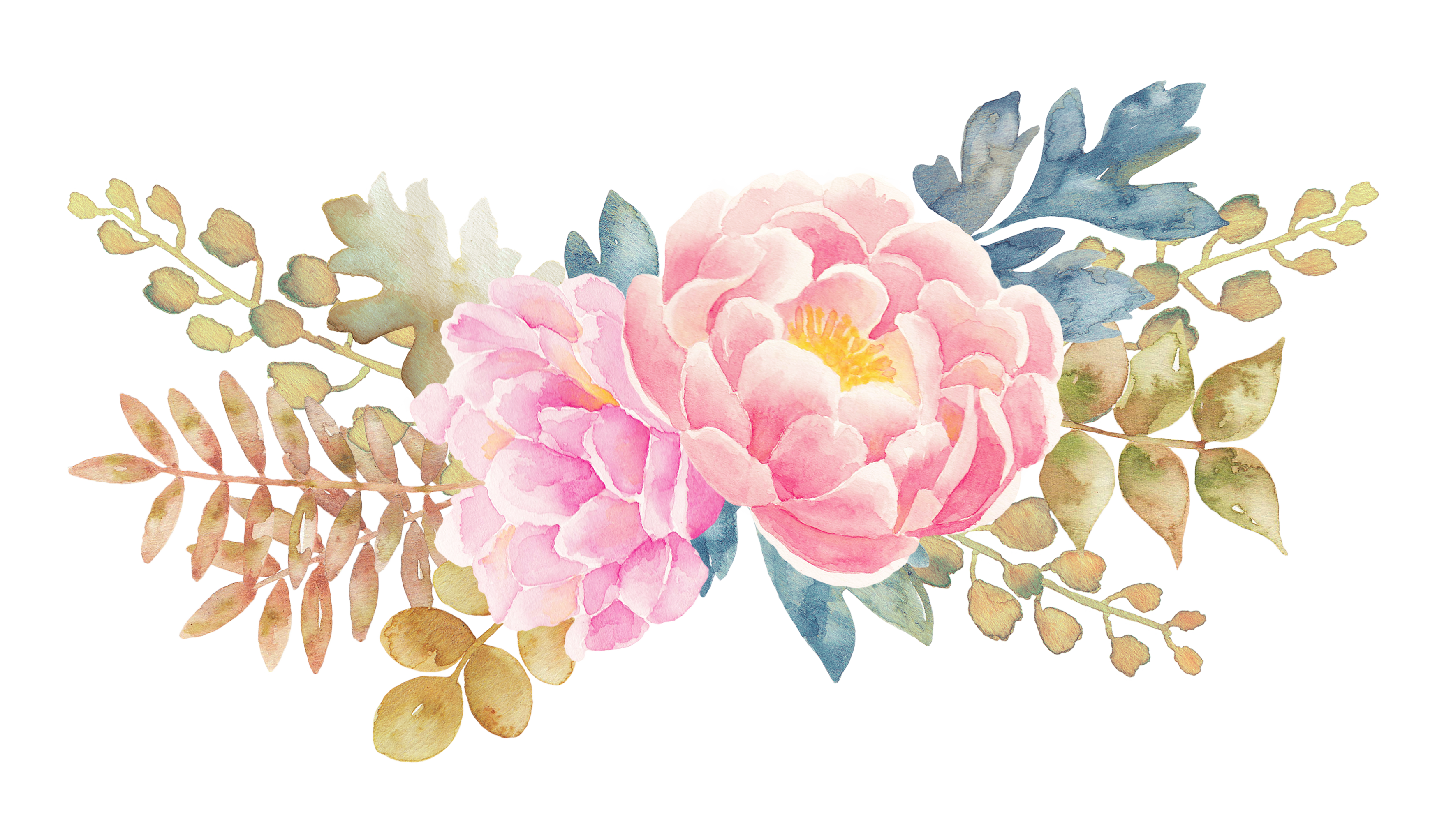 Flower Peony Painted Watercolor Elements Floral Painting Clipart