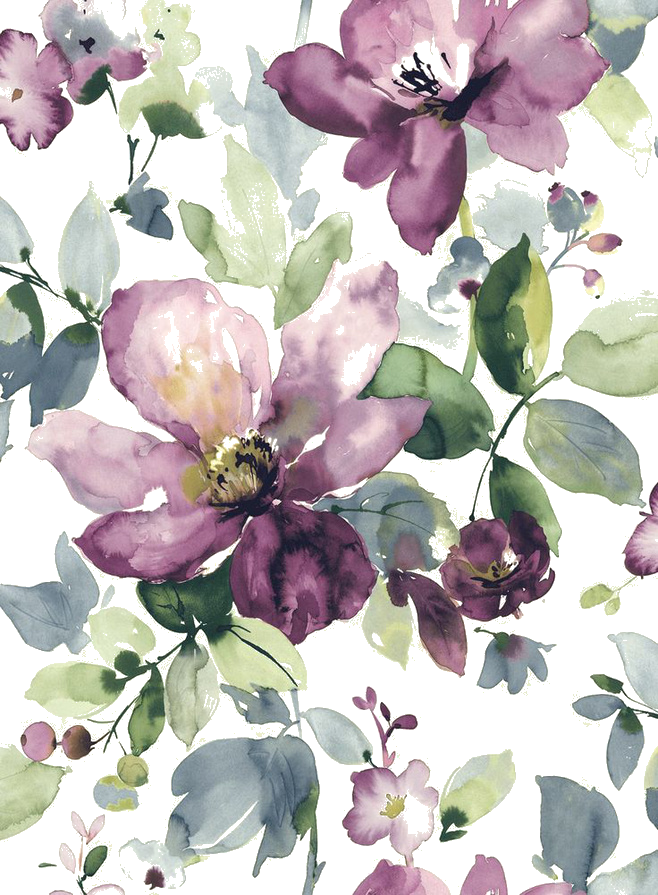 Painted Wallpaper Watercolour Watercolor Purple Design Blooming Clipart
