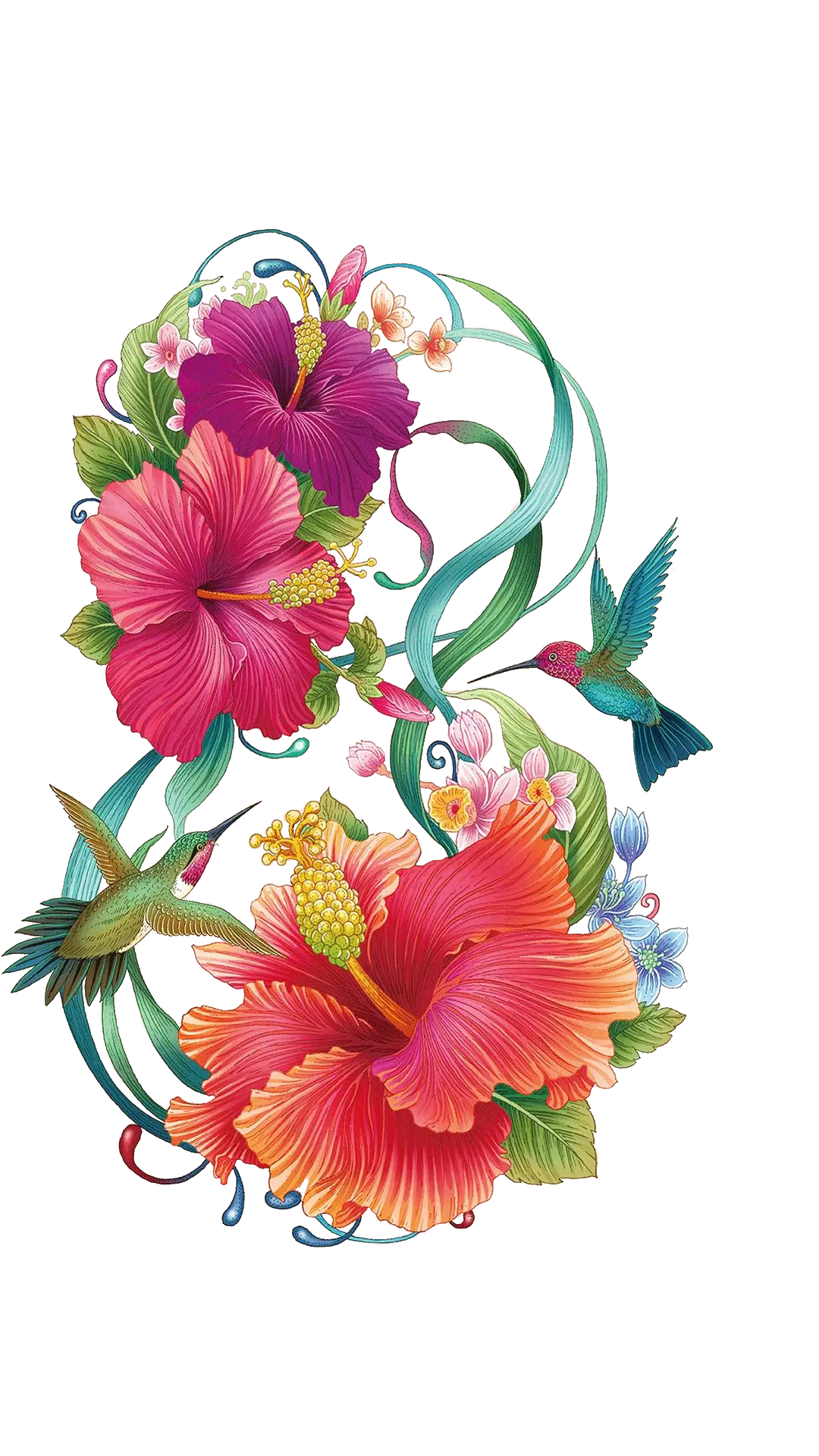 Hibiscus Flower Color Hand Painted Common Painting Clipart
