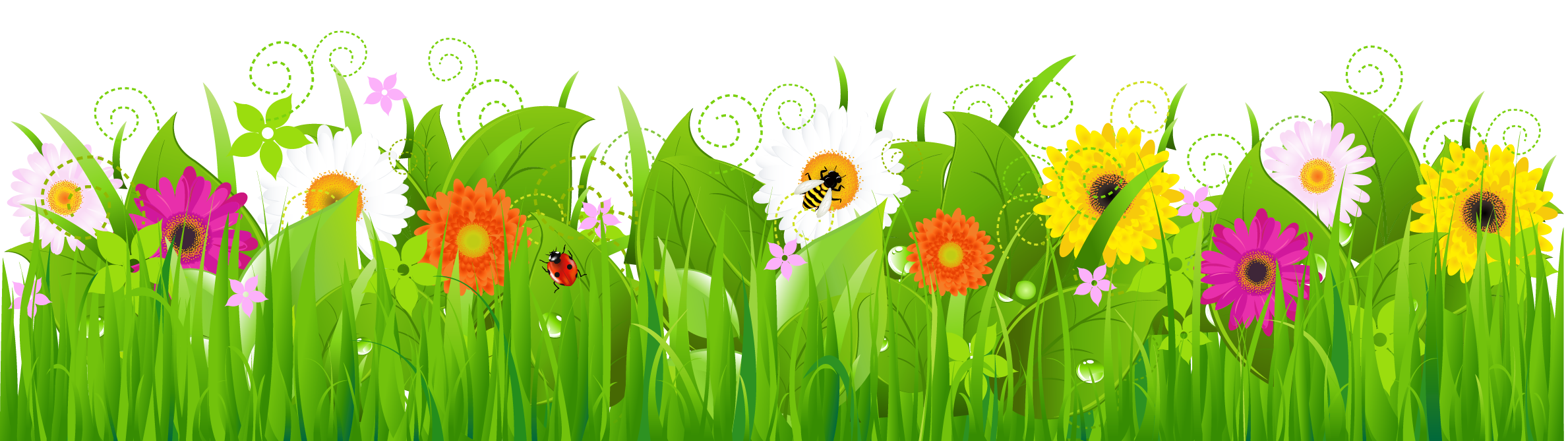 Flowers Grass Png Images Clipart