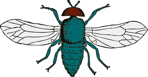 Of Bluebottle Fly Clipart