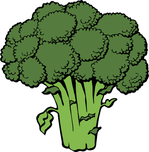 Of Broccoli Clipart