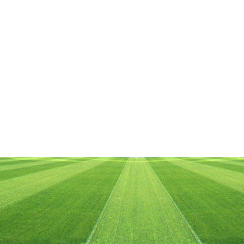 Download Grassland Field Football Stadium Pitch Free Download Png Hd Clipart Png Free Freepngclipart