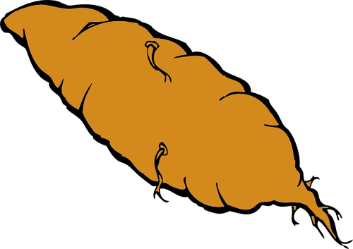 Of Yam Clipart