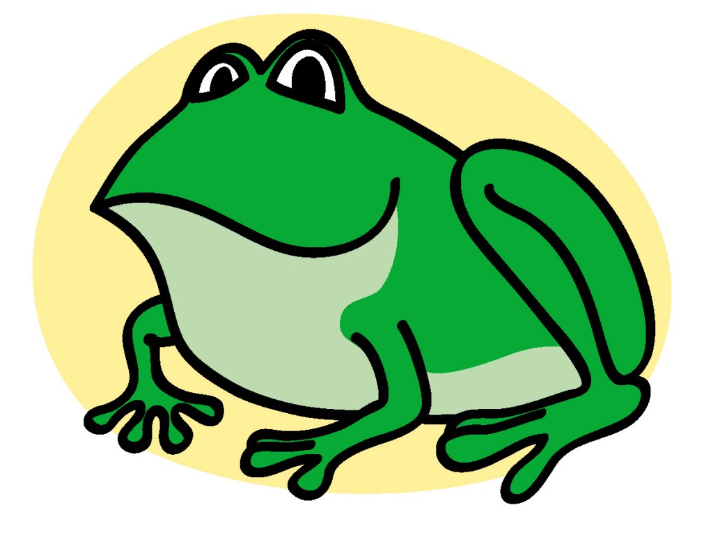 Frog Cute Image Hd Photos Clipart
