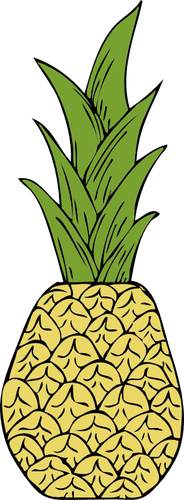 Of Pineapple Clipart