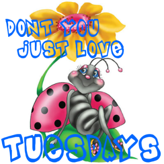 Good Morning Tuesday Hd Image Clipart