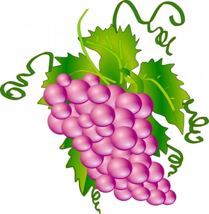 Grapes Vector In Open Office Drawing Svg Clipart