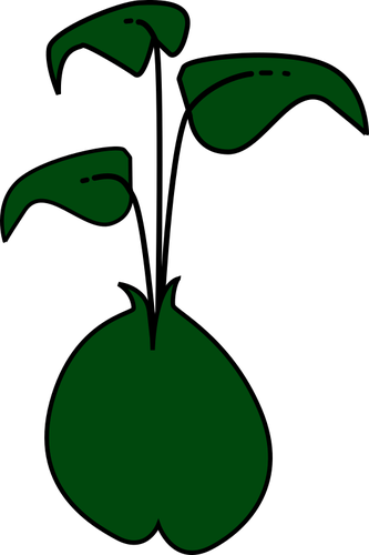 Of Plant With Three Dark Green Leaves Clipart