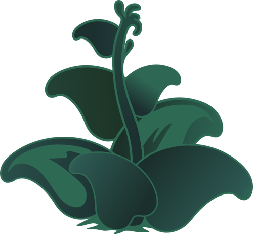 Of Dark Green Zutto Plant Clipart