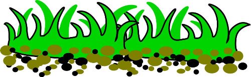 Download This Grass Images Clipart Clipart