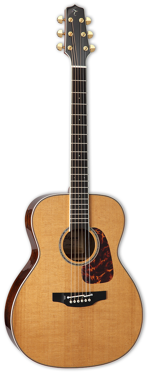 Acoustic-Electric Guitar Takamine Guitars Dreadnought Acoustic Clipart