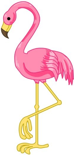 Luau Flamingo Hd Photos Clipart