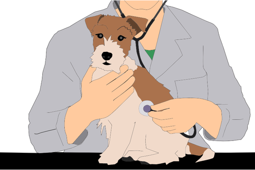 Veterinarian With Animal Clipart