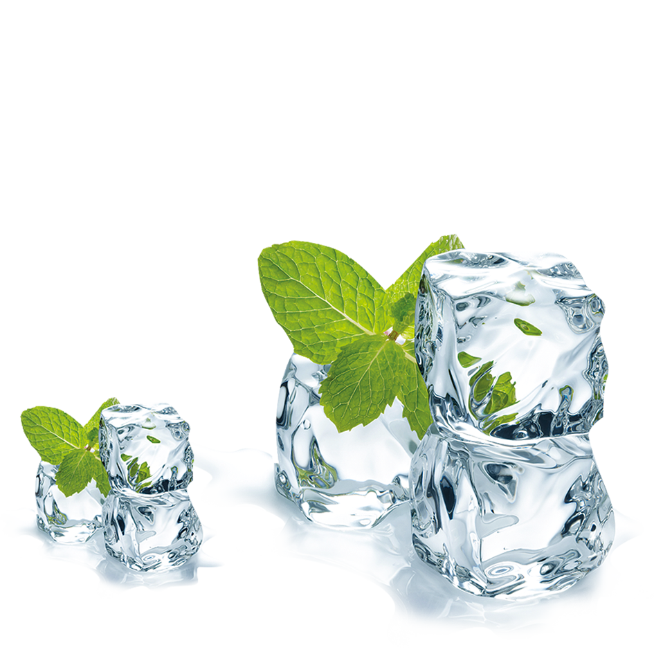 Cube Menthol Spicata Ice Juice Mentha Mint Clipart