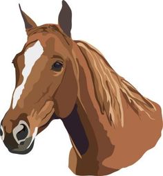 Cute Horse Head Images Image Png Clipart