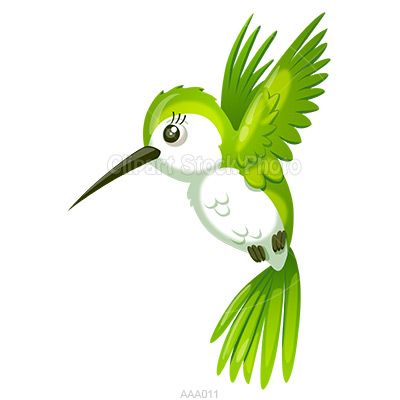 Hummingbird Hummingbird Cartoon Hd Photo Clipart