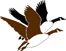 Goose Hunting Clipart Clipart