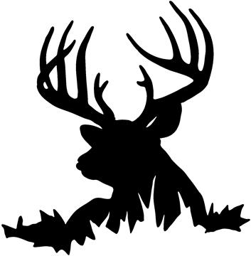 Deer Hunting Images Hd Photos Clipart