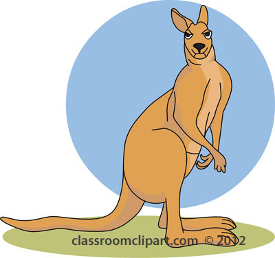 Kangaroo Images 3 Wikiclipart Free Download Png Clipart