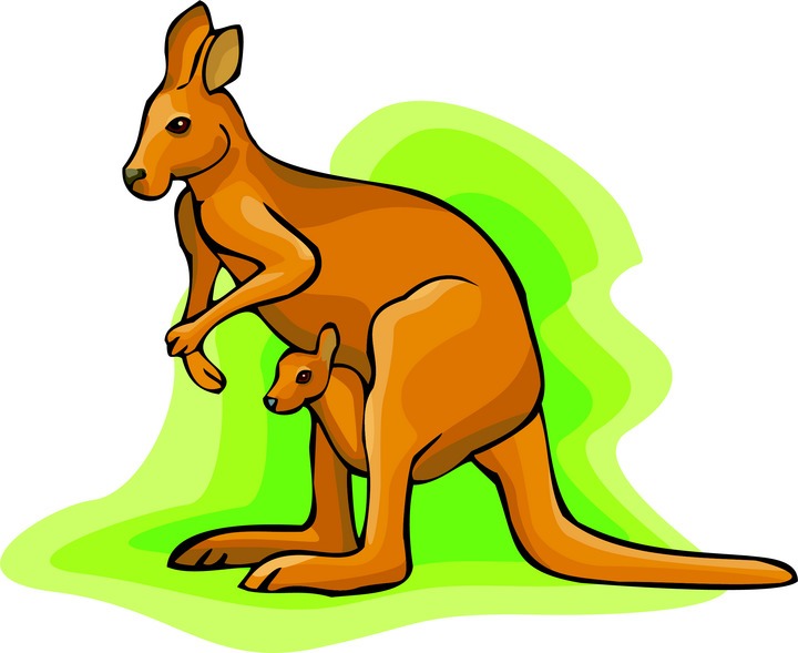 Jumping Kangaroo Images Png Image Clipart