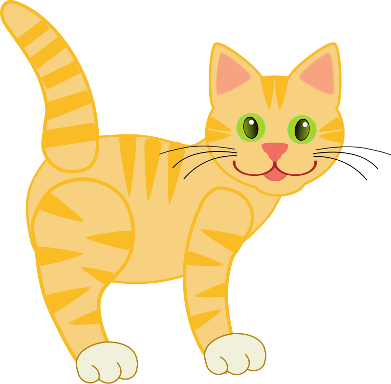 Kitten Cute Cats Kid Image Png Clipart