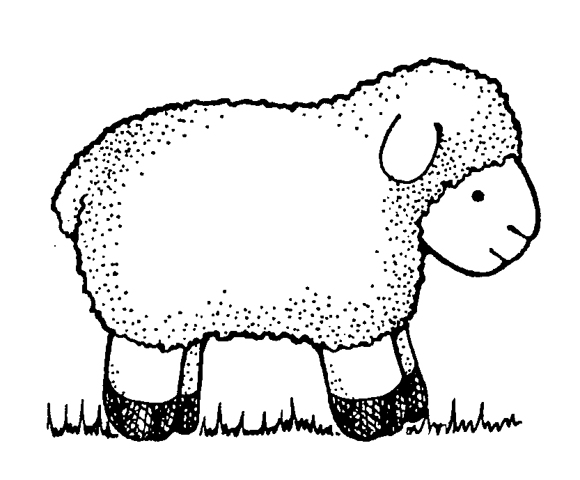 Lamb Transparent Image Clipart