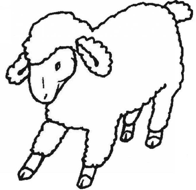 Lamb Cute Sheep Lamb Vector Id Pictures Clipart