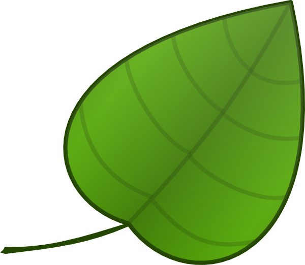 Tropical Leaf Template Transparent Image Clipart
