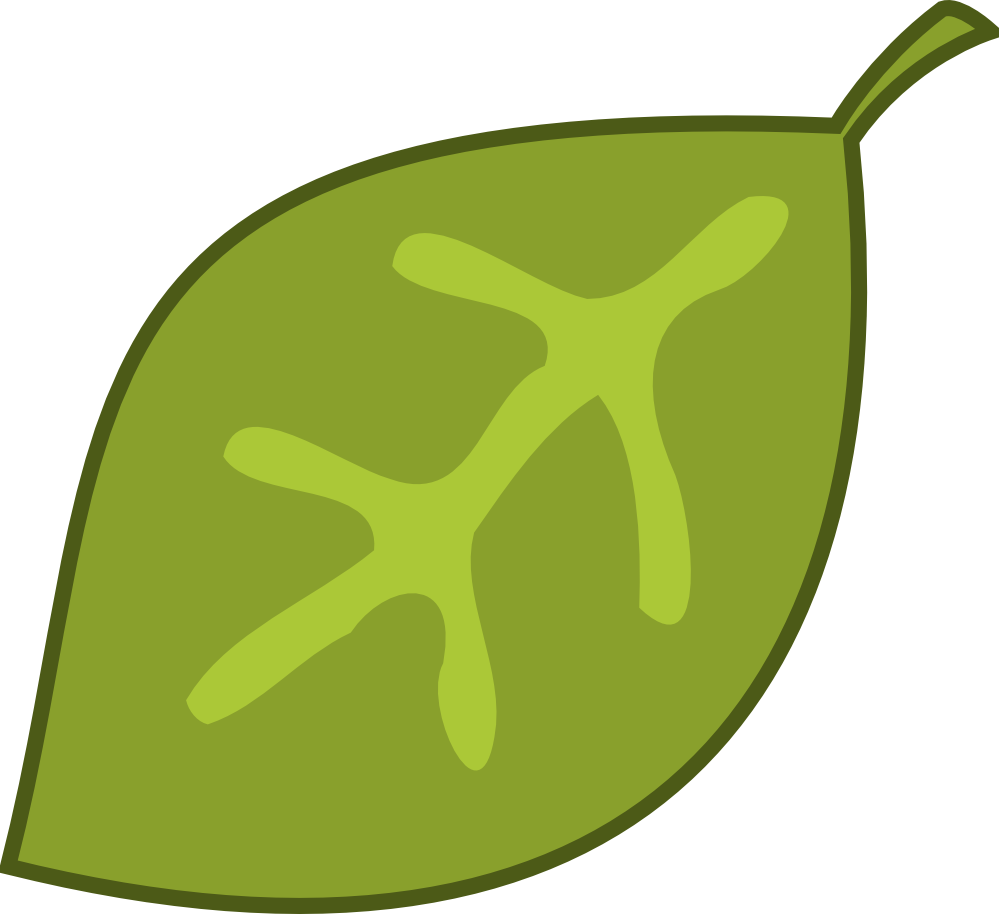 Leaf Green Leaves Dromgce Top Transparent Image Clipart